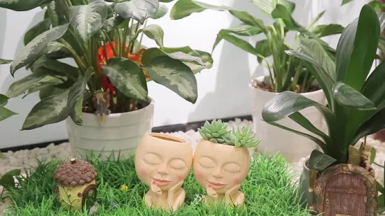 Hy Girls Tête Pot de Fleur Plante Succulente Moule en Silicone pour Béton Argile Moule DIY Artisanat