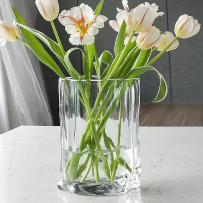 Vase décoratif irrégulier en verre, conteneurs de plantes à fleurs Ci22603