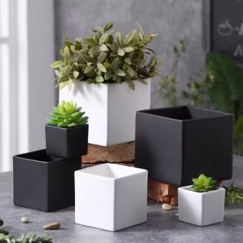 Petites boîtes de jardinières en acier inoxydable Szie utilisées pour les jardinières de fenêtre de maison