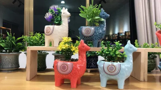 Nouveau pot en céramique de forme animale de conception avec la petite plante succulente